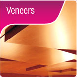 Veneers