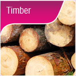 Timber